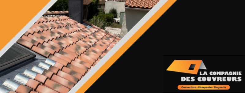 Nettoyage de toiture mousses, saletés, dans toutes les Bouches du Rhône